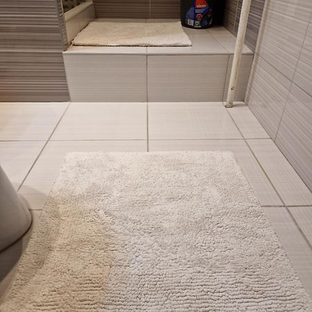 Erzsebet Apartman, Free Parking Βουδαπέστη Εξωτερικό φωτογραφία