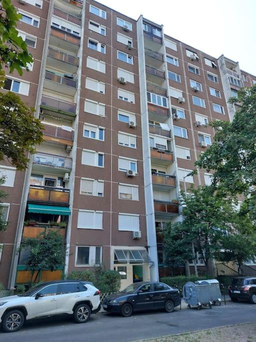 Erzsebet Apartman, Free Parking Βουδαπέστη Εξωτερικό φωτογραφία